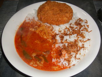 レトルトカレーレポート（2011-2/19完結）