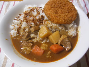 レトルトカレーレポート（2011-2/19完結）