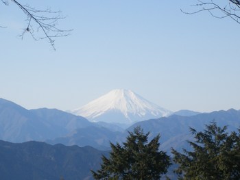 縁起良く富士山を臨む、クライマー版初詣の高尾山参拝 ⑤
