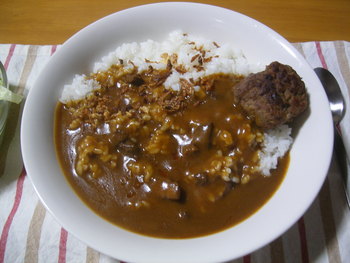 レトルトカレーレポート（2011-2/19完結）
