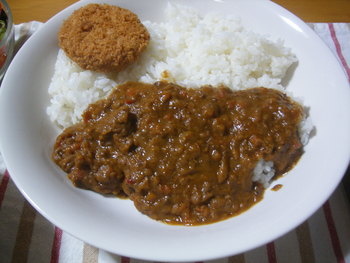 レトルトカレーレポート（2011-2/19完結）