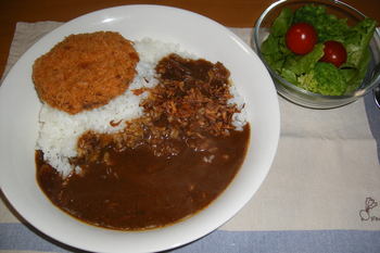 レトルトカレーレポート（2011-2/19完結）