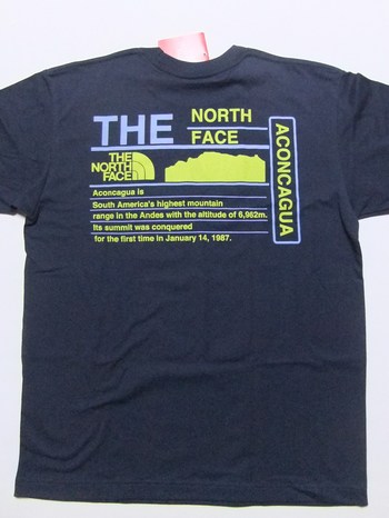 TNF Print Tee AP M NT31372X