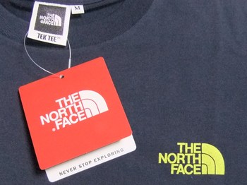 TNF Print Tee AP M NT31372X