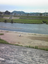 近所をぶ～らぶら 2008/09/30 13:09:31