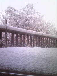 雪