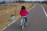 散策 2010/01/26 11:26:03