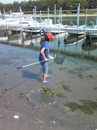 夏休み最後のキャンプ 2009/10/15 12:45:40