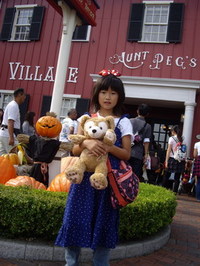 TDS＆TDL