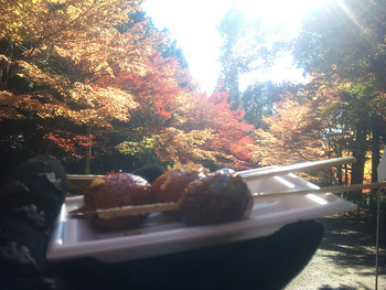 紅葉ツアー