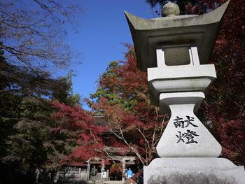 紅葉ツアー