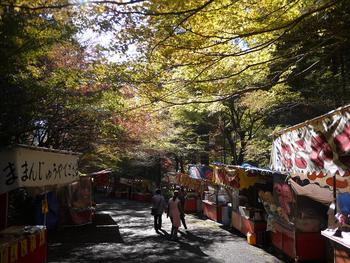紅葉ツアー