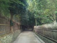 京都 2011/09/25 22:30:00