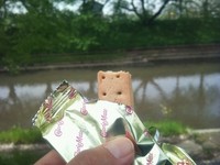 5月2日の記事 2011/05/02 11:55:19