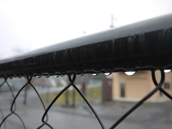 久しぶりの自転車