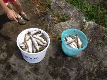 子供会