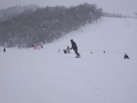 冬山① 2010/01/05 10:39:24