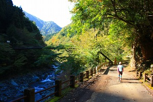 丹沢絶賛紅葉中！