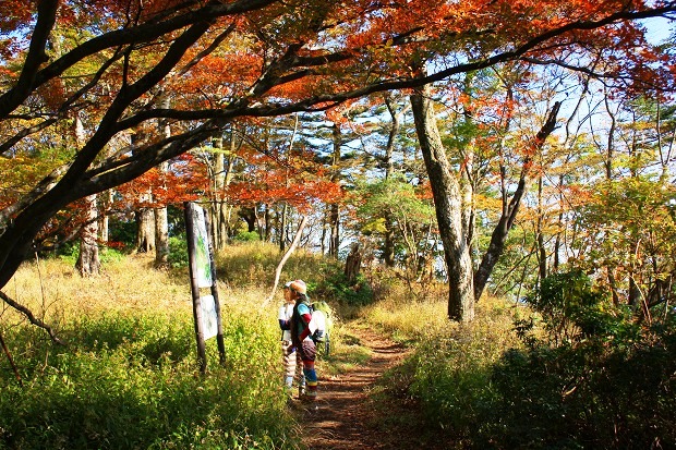 丹沢絶賛紅葉中！