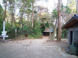 子連れで行こう！鷹取山