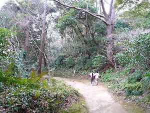 子連れで行こう！鷹取山