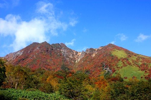 初物紅葉いただきました～♪後編