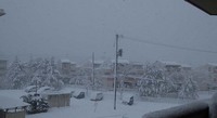 一年ありがとう＾＾ 2010/12/31 11:39:15