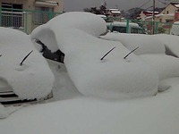 雪国？より