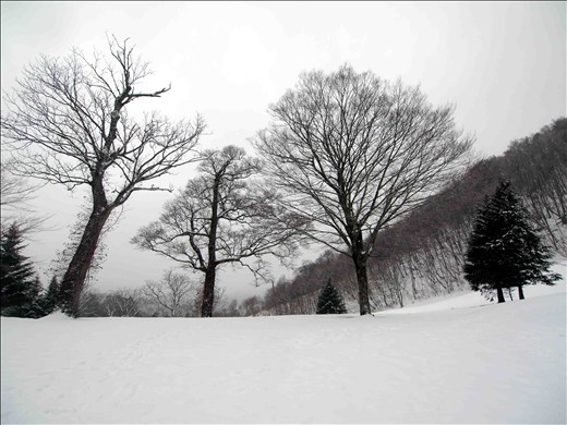 雪の和佐又　～ 野営編 ～