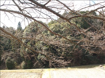 久々に大野アルプスランド　～ おでかけ編 ～