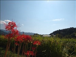 秋を探しに　～ 寄り道編 ～