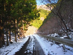 台高のお山を往く　～ いちおう、山登り編なんですけど‥‥ ～