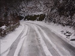 台高のお山を往く　～ いちおう、山登り編なんですけど‥‥ ～