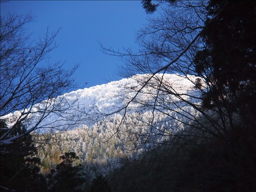 台高のお山を往く　～ いちおう、山登り編なんですけど‥‥ ～