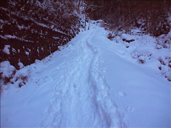 台高のお山を往く　～ いちおう、山登り編なんですけど‥‥ ～