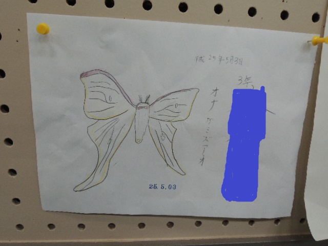 GWキャンプIN南光自然観察村①