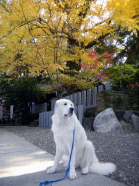 藤白神社～鈴木一族」
