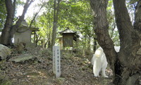 巡礼　百合山新四国八十八ヶ所」