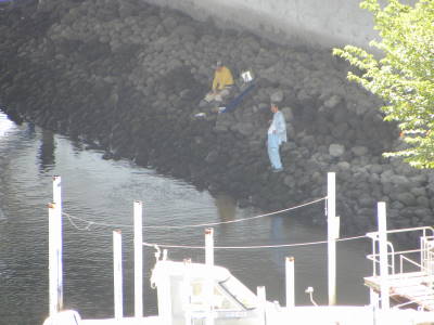 ハゼ釣り人が来ています