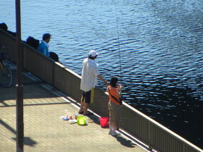 ハゼ釣り人が来ています