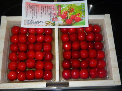さくらんぼ　紅秀峰
