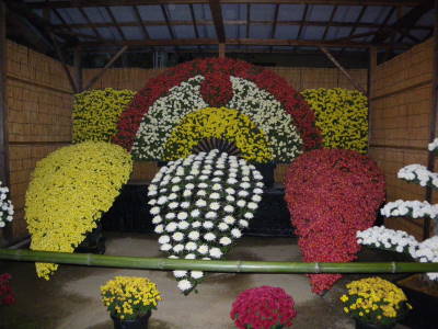 笠間菊祭り