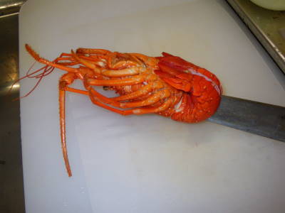 伊勢エビのグラタン