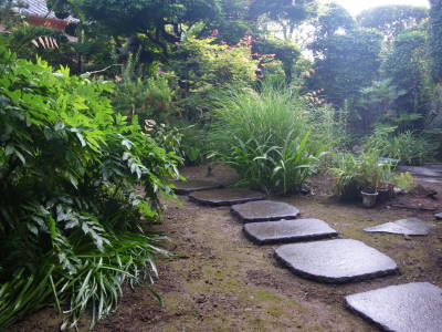 草むしり　打ち水