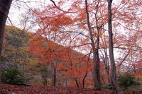 懐かしの線路跡を歩いて・・・廃線トレッキング～♪