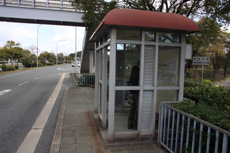 親子で、しまなみ海道サイクリングへ～♪