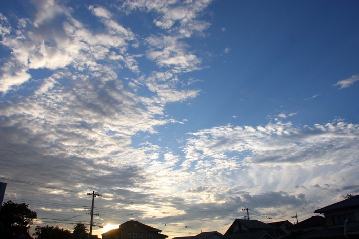 雨の土曜日、晴れの日曜日・・・＾＾；