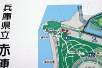 寒風吹く中の赤穂カキ祭り～♪