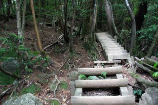 the floating Alps　森への旅立ちの朝