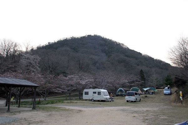 五分咲きの木谷山。